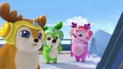 L-R: Kai, Bobbi, Lola