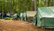 Scout Camp