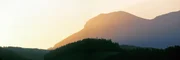 Die Landschaft im Süden Niederösterreichs ist geprägt von den letzten Ausläufern der Alpen. Dieser filmische Streifzug präsentiert die "Sonnenberge" mit ihrer vielfältigen Natur und Kultur - ein umfassendes Porträt dieses Lebensraumes und seiner Bewohner. Der eine züchtet "Alpenlachse", der andere "hat Pech": Hier gewinnen Bauern im Nebenerwerb als "Pecher" auf traditionelle Weise das Harz der Schwarzkiefer - für Kosmetikprodukte, Terpentinöl sowie Kolophonium für Instrumentensaiten. In der Region zwischen Rax und Buckliger Welt finden sich auch die Hausberge der Wiener: Für viele Erholung Suchende und Extremsportler, Naturliebhaber und Kulturfreunde liegt dieses Paradies praktisch vor der Haustür.
