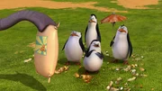 L-R: Skipper, Kowalski, Private, Rico