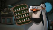 L-R: Skipper, Kowalski