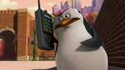 Skipper