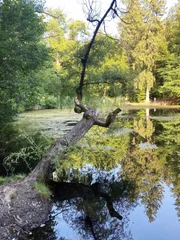 Kreuzbergl-Teich.