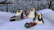 L-R: Skipper, Rico, Private