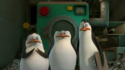 L-R: Private, Skipper, Kowalski