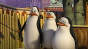 L-R: Kowalski, Rico, Private