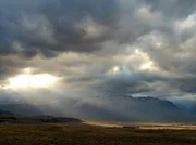 Im Schatten der Anden liegt die Patagonische Steppe. Charles Darwin beschrieb dieses Land als "elend und nutzlos". Dennoch floriert hier das Leben in seltsamer und wundervoller Weise zugleich.