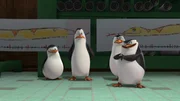 L-R: Private, Kowalski, Rico, Skipper