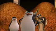 L-R: Private, Skipper, Julien, Fred