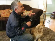 Cesar Millan (Bild) hilft heute unter anderem Johnny und Chandra, die große Probleme mit ihrem Hund Justice haben ...