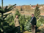 Hans und Maria Kregler in ihrer Pflanzung in Schönbrunn, Steigerwald.