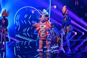 ?Edge Of Glory?: Die Raupe singt einen Lady Gaga-Song.