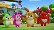L-R: Bobbi, Lola, Kai, Rammy
