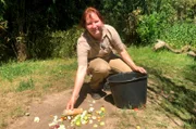 Tierpflegerin Kathrin Paulsen hat für ihre Drills eine ganz besondere Überraschung: Zum üblichen Futter gibt es noch einen leckeren Snack. Doch den müssen sich die Affen mit einiger Geschicklichkeit erst mal verdienen.