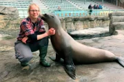 Die Kalifornische Seelöwin Pam soll ein medizinisches Training absolvieren. Pam ist superschlau und gehört zu den lernwilligsten Bewohnern in Yukon Bay, einer der sieben Erlebniswelten des Zoos. Ziel der Übung mit Tierpflegerin Jasmin Batzdorfer: Pam soll auf Kommando bestimmte Posen einnehmen und stillhalten.