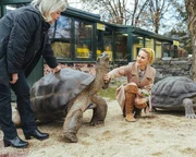 Silvia Schneider im Reptilienzoo Happ in Klagenfurt.