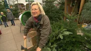 "Frau Christbaum"
