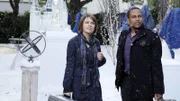 Detective Lindsay Monroe (Anna Belknap) und Dr. Sheldon Hawkes (Hill Harper) sind fasziniert von der Pracht des Kunstschneeparadieses, das die ermordete Hotelbesitzerin zu Lebzeiten geschaffen hat.