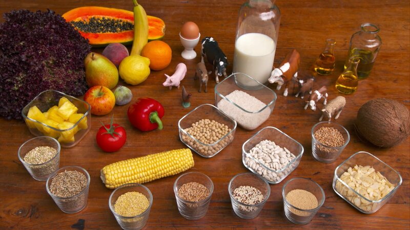 Die Angst vor Weizen, Milch und Co. (D/A, 2015)