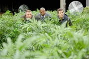 V.l.: Scully (Joel McKinnon Miller), Terry Jeffords (Terry Crews), Jake Peralta (Andy Samberg)