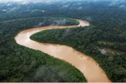 Wüstenstaub aus der Sahara reist mit dem Wind bis zum Amazonas-Regenwald und düngt dort den Boden.