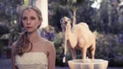 Lucy Savage (Juno Temple)