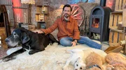 Im Jahr 2020 lebten rund 10,7 Millionen Hunde in deutschen Haushalten. Doch welche Hunderasse ist hierzulande die beliebteste? In der neuen Rankingsendung geht Moderator und Hundebesitzer Jan Köppen dieser Frage auf den Grund.
