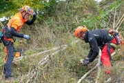 Schrecklicher Fund an einem Hang. Zwei Arbeiter finden einen menschlichen Schädel. Er wird in der Rechtsmedizin untersucht. Die Ergebnisse rufen die Mordkommission auf den Plan.