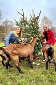 Uta Bresan besucht in dieser Folge das Pfaffengut Plauen und hat sich zur Weihnachtsausgabe von Tierisch tierisch die prominente Tierschützerin Stefanie Hertel eingeladen.