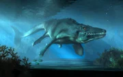 An mosasaurus swims towards you in shallow seas. This creature was an aquatic reptile that lived in the ocean during the Cretaceous period.