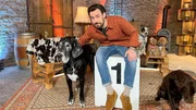 Im Jahr 2020 lebten rund 10,7 Millionen Hunde in deutschen Haushalten. Doch welche Hunderasse ist hierzulande die beliebteste? In der neuen Rankingsendung geht Moderator und Hundebesitzer Jan Köppen dieser Frage auf den Grund.