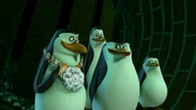 L-R: Rico, Kowalski, Skipper, Private
