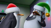 L-R: Skipper, Private