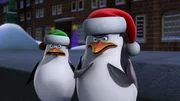 L-R: Private, Skipper