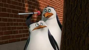 L-R: Skipper, Rico