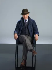 Raymond 'Red' Reddington (James Spader)