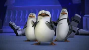 L-R: Rico, Skipper, Kowalski