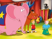 Marvin, das steppende Pferd