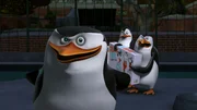 L-R: Skipper, Private, Kowalski, Rico