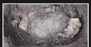 The place where Kathy Goble was burried