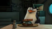 Skipper