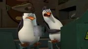 L-R: Skipper, Kowalski