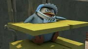 Skipper