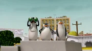 L-R: Kowalski, Skipper, Rico