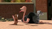 L-R: Marlene, Shelly
