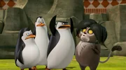 L-R: Private, Kowalski, Skipper, Maurice