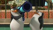 L-R: Rico, Skipper