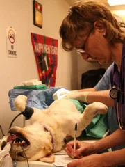 Nicole keeps the records straight during one of Dr. Terry's surgeries.