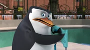 Skipper