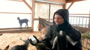 Tierärztin Katja mitten im Ziegenlämmergetümmel